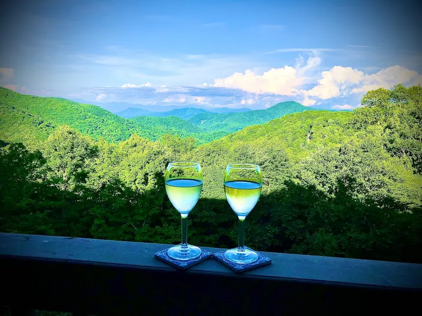 *Direct Mountain Views!* Hike/Swim On-Site! - Image 1