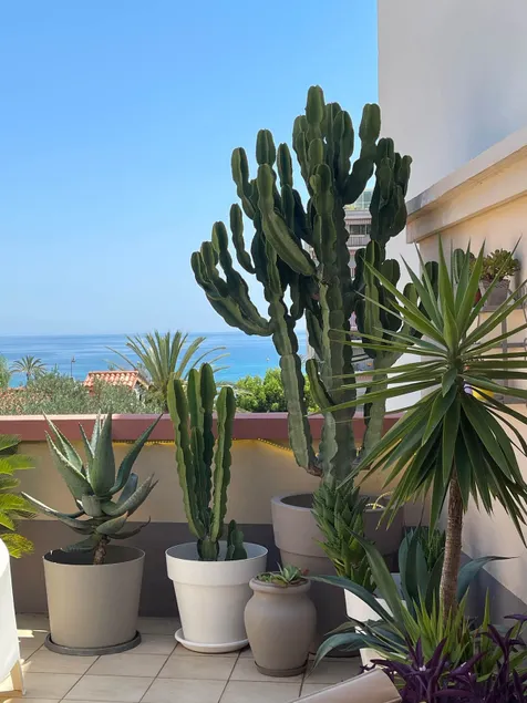 Bel appartement avec terrasse face à la plage - Image 1
