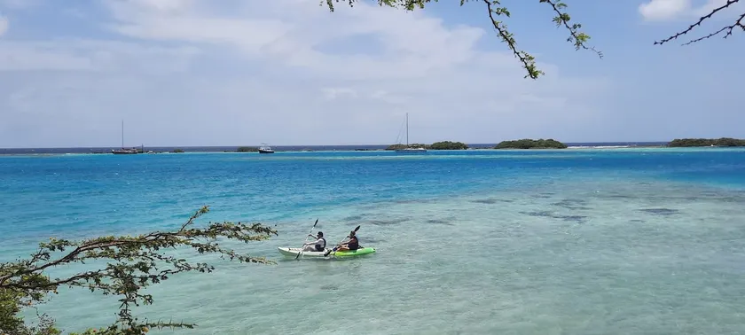 Strea di lama close to the beach and center of Aruba - Image 1