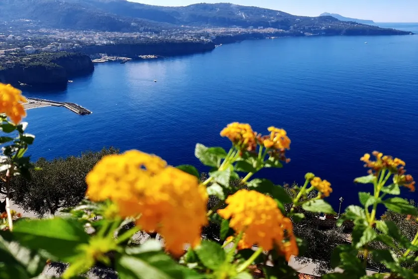 Bella Vista House-Sorrento coast - free parking-solarium - Image 1