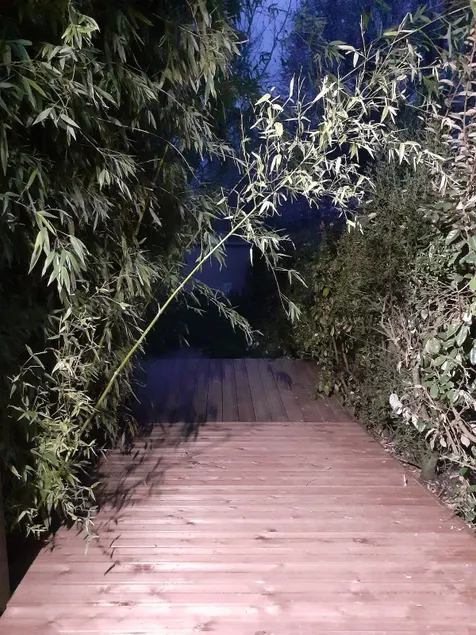 1- A cocooning break in my garden - Image 1