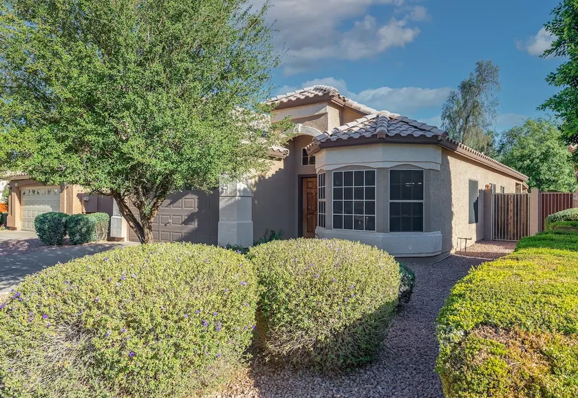 Oasis - Single-Story Home Tempe AZ Entire House - Image 1