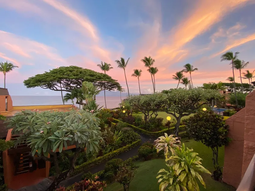 Oceanview Maui Condo, Turtles, Whales, Rainbows - Image 1