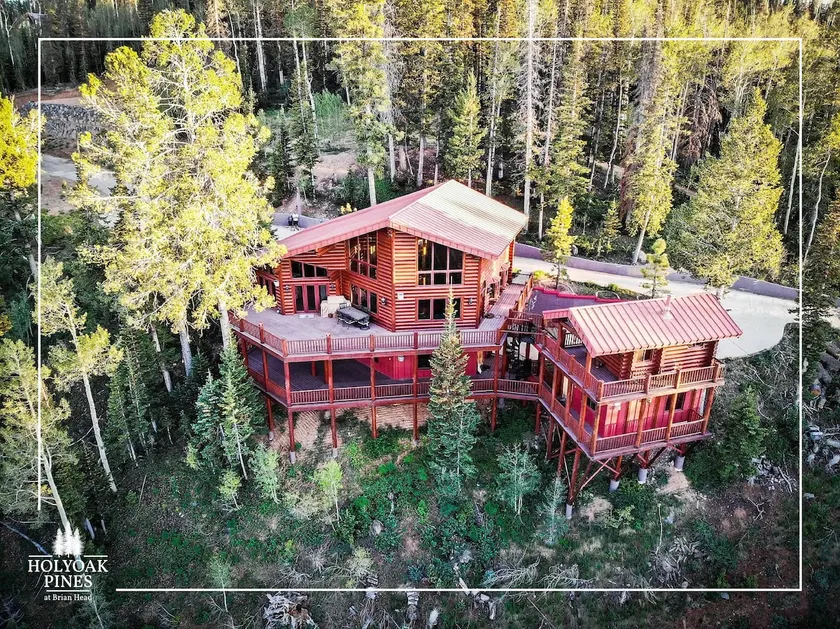 Holyoak Pines Cabin, Views Galore, Spacious Luxury - Image 1