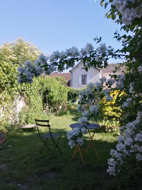 Cozy Charming cottage in the Loir and Loire valleys*** French property - Image 1