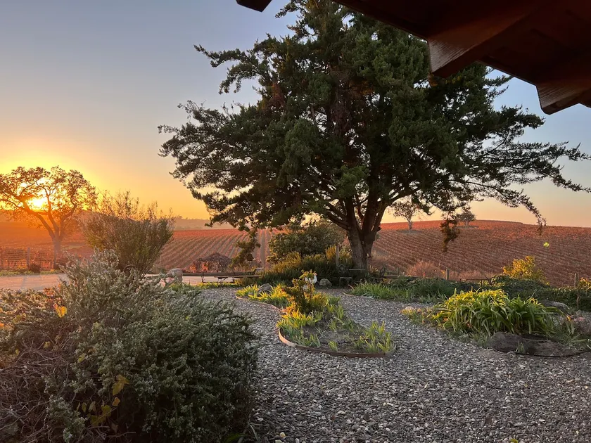 Entire Hobby Farm, Surrounded by Vineyards - Image 1