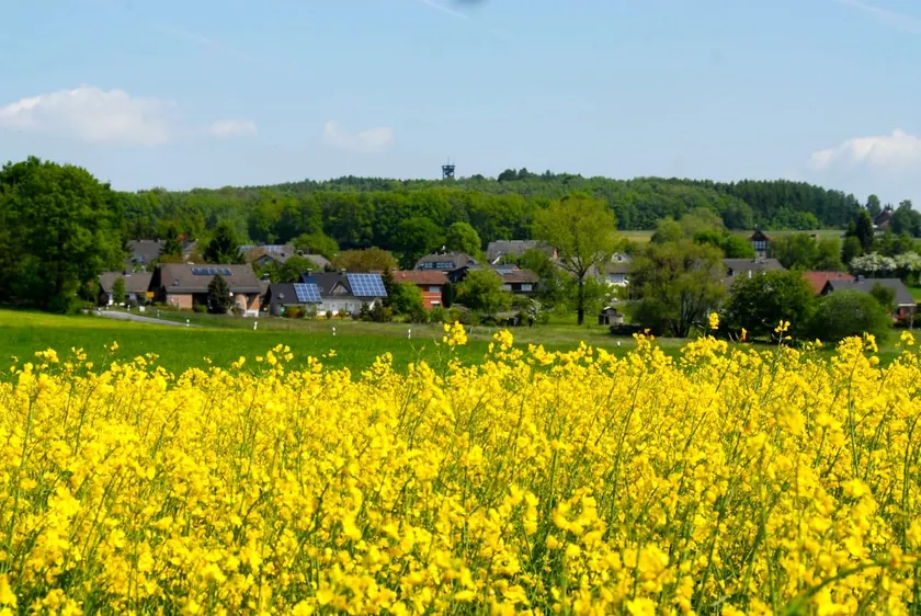 Beulskopf Vacation Home - Image 1