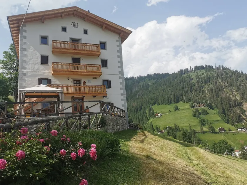 Cesa da Riz - Owl 4+1 beds - Colle S. Lucia - Image 1