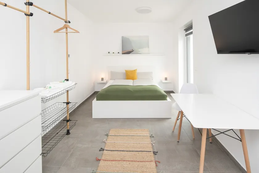 Nibelungen Apartments / 1 room with large terrace - Image 1