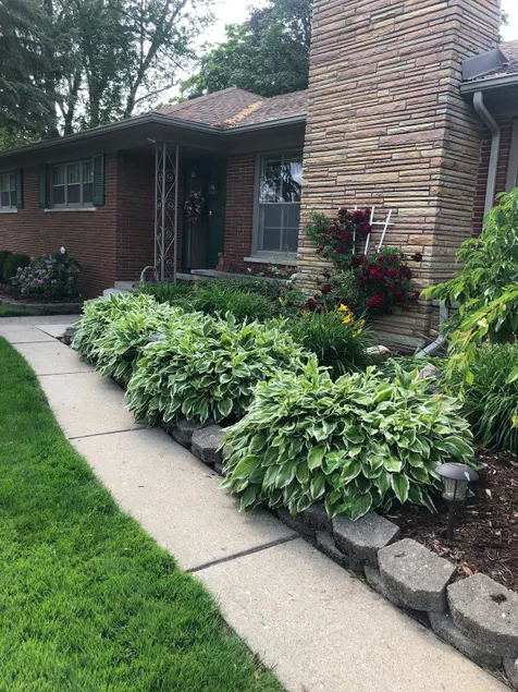 The Buckingham of Grosse Pointe Park/ lower level - Image 1