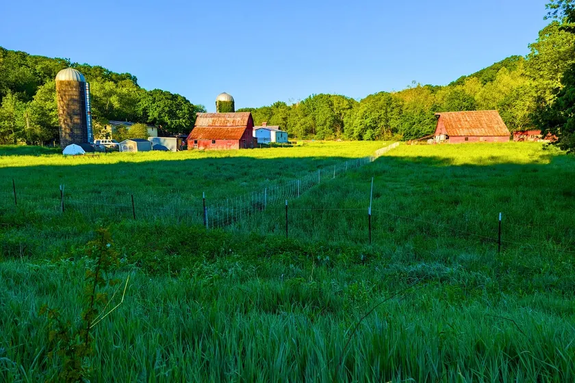 Farmer's Friend - Peaceful Retreat @ 175 acre Farm - Image 1