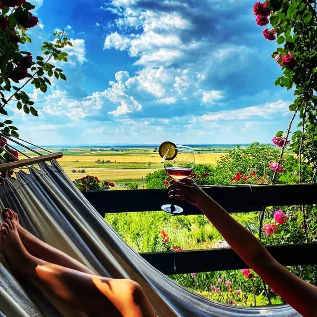 Baranja Black Hill's Romantic Cottage with a View - Image 1
