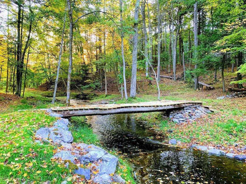 3Br Creekside Cottage on 130 acre forest w/ trails - Image 1