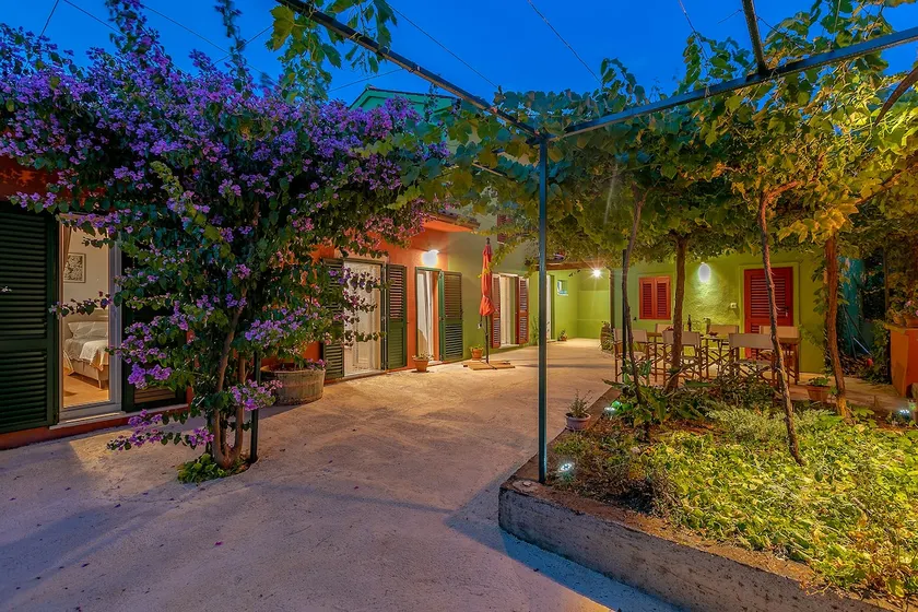House Bougainvillea - Image 1