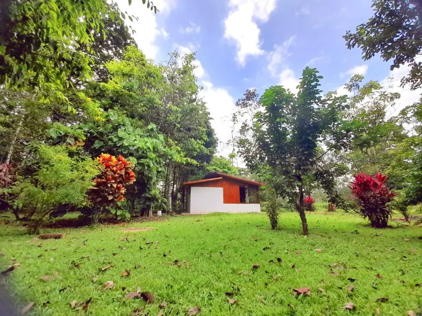 Rancho La Paz Campos Rodríguez, El Molino. - Image 1