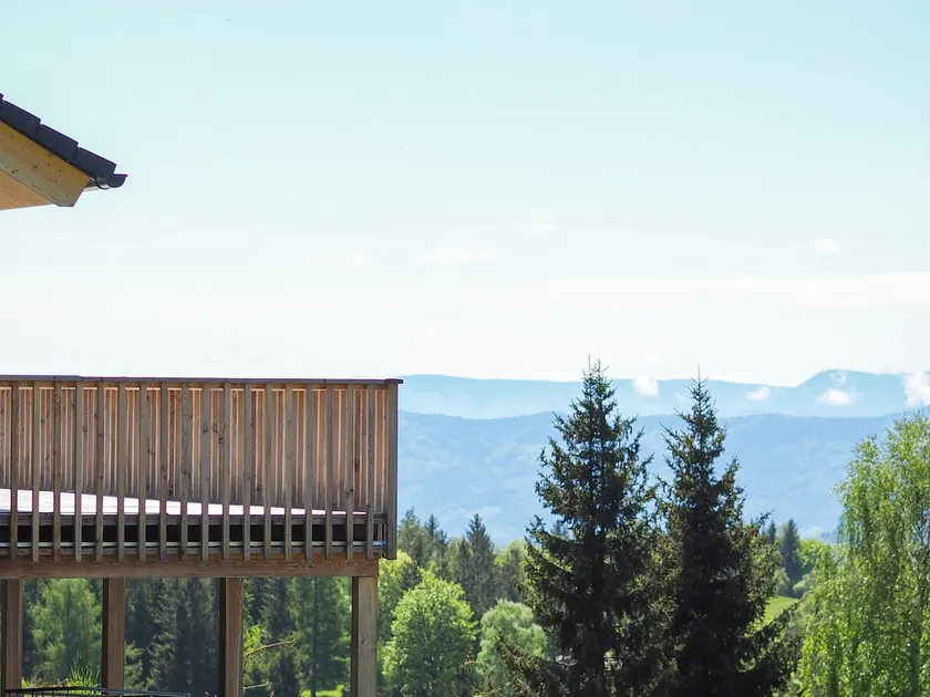 The Koralpenchalet Sun, forest, nature! - Image 1