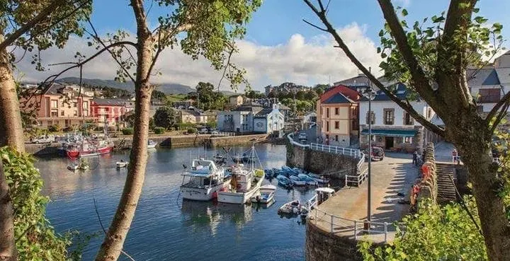 Bright and central with harbor views - Image 1