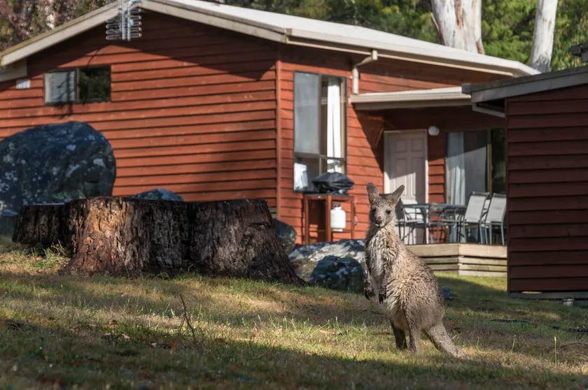 Wonderland Cottages - Image 1
