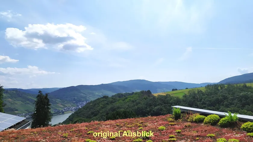 Schau-Rhein#1 - On top of Bacharach, Rhineview - Image 1