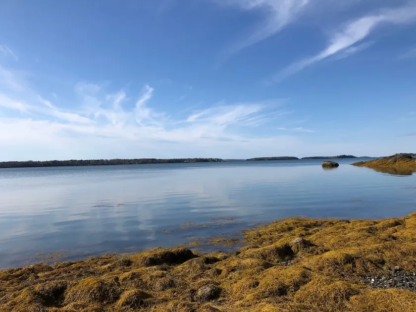 Beekeeper's Cottage- Peaceful,Quiet - Ocean Front - Image 1