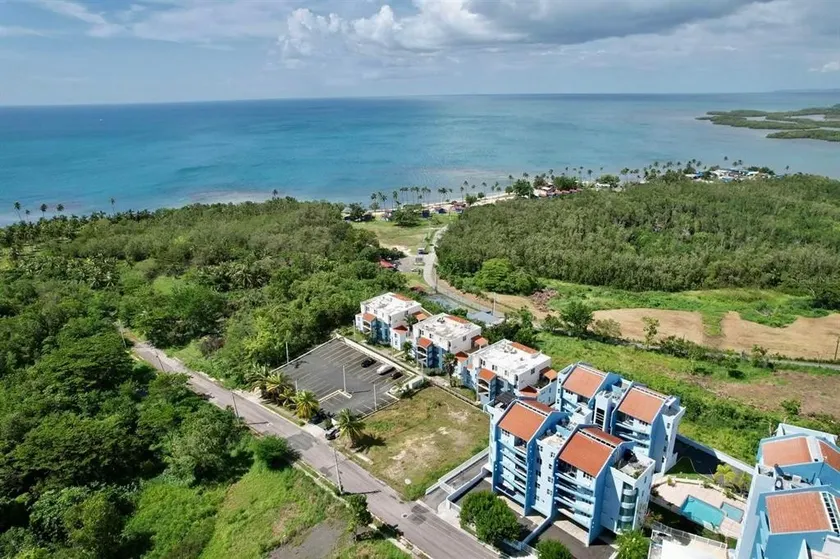 Amazing Ocean View Corner PH Surrounded by Nature - Image 1