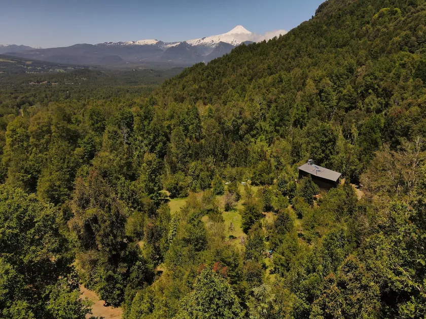 A cozy cabaña in the forest - Image 1