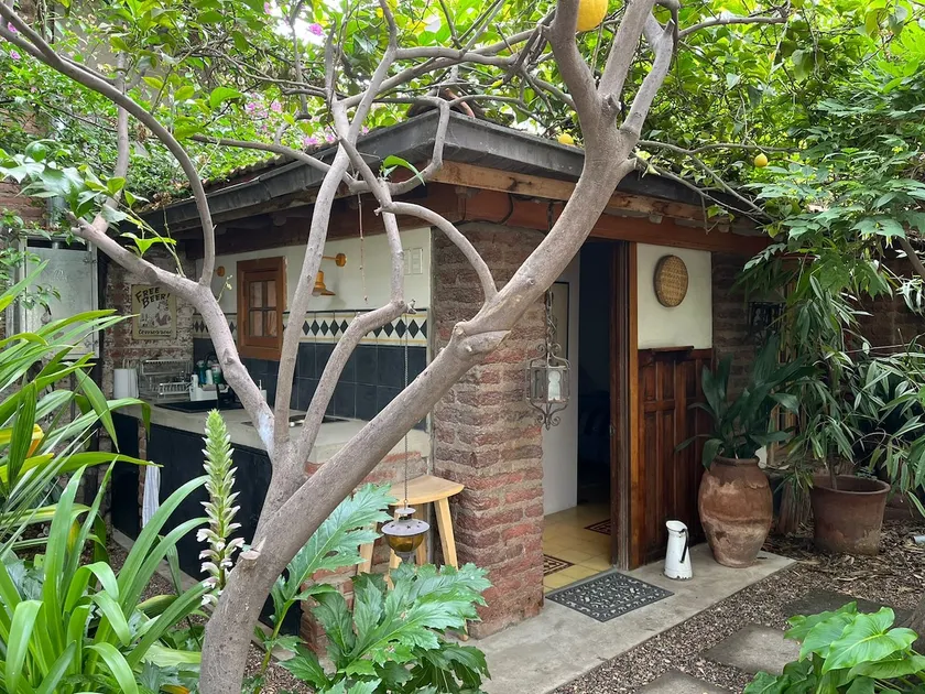 A small oasis near Barrio Italia - Image 1