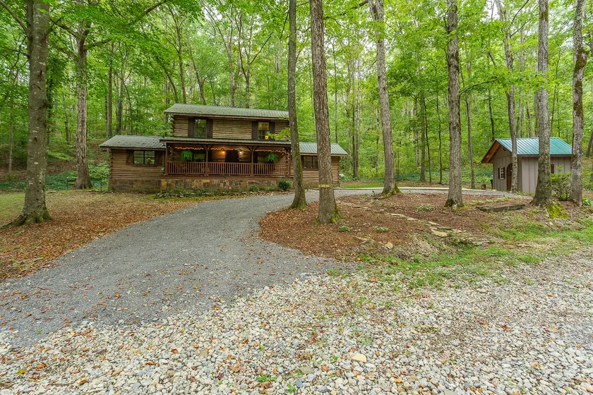 Fernwood Forest - Image 1
