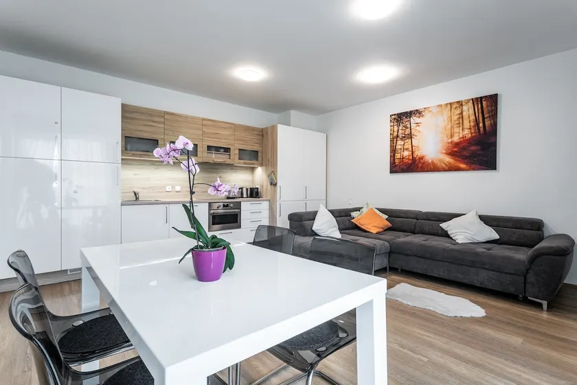 APARTMENT KLÍNOVEC - HEXAGON A4 1 Bedroom - Image 1