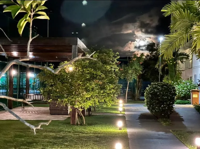 Palm Village - Muro Alto / Galinhas Port - Image 1