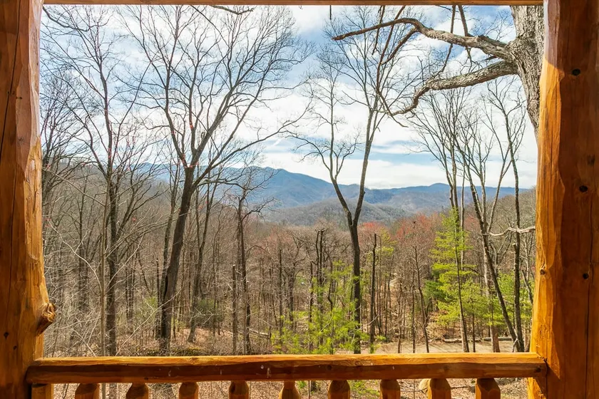Incredible Views! Cute cabin close to Asheville! - Image 1
