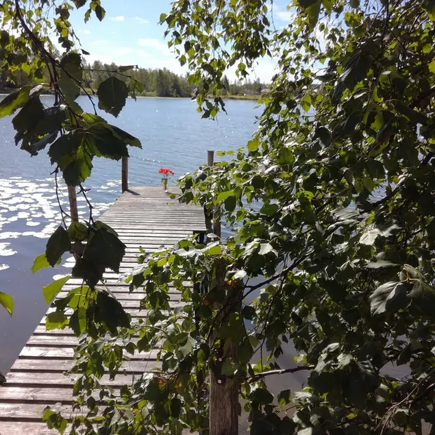 Cozy cottage near the small lake and nature - Image 1