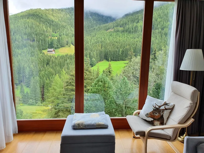 🌲 Magic View 🌲 - Image 1