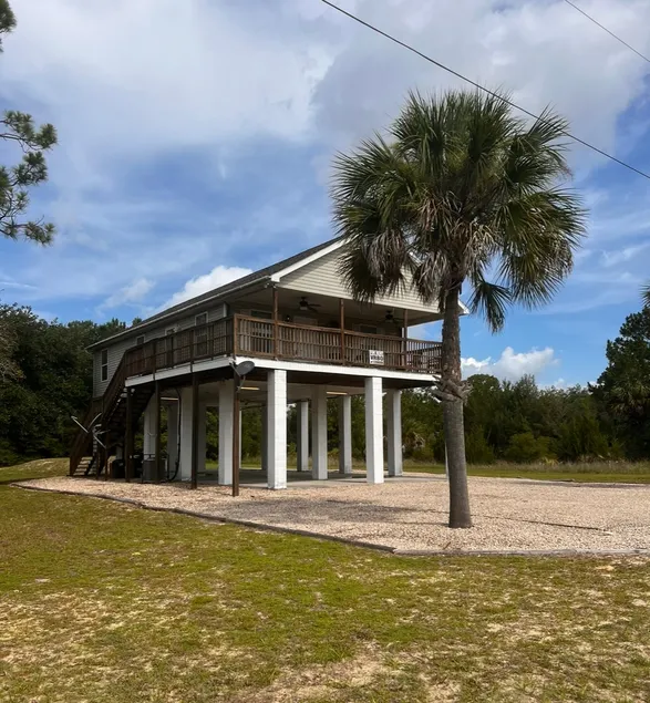 Steinhatchee havskildpadde - Image 1