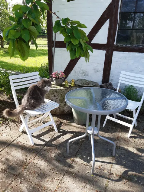 2-room apartment in Midtfyn near Egeskov. - Image 1