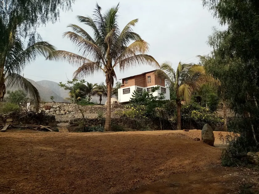 Fundo Huabayor, experiential tourism in the countryside - Image 1