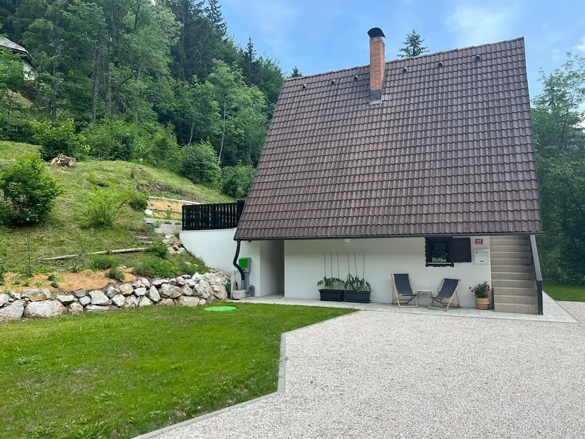 Our Forest House - Image 1
