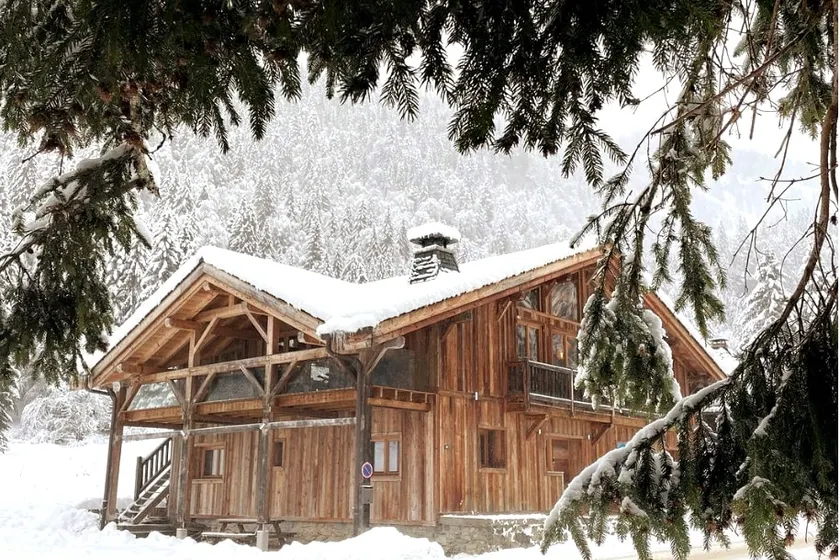 Chalet in Ardent Ski-in/100 m to ski lift - Image 1