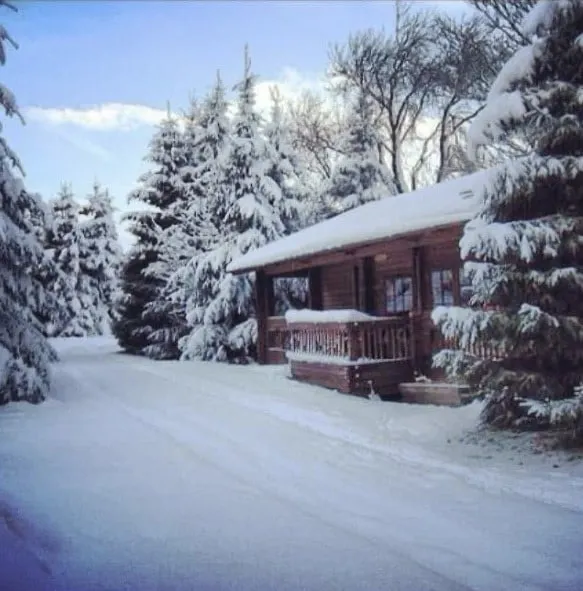 Scandinavian Log Cabin - Sir Arthur Sims - Image 1