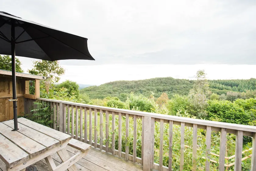 Woodland studio - Image 1