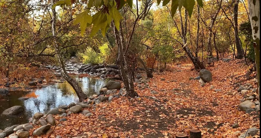 The Fairy Stream's House - beautiful and romantic. - Image 1