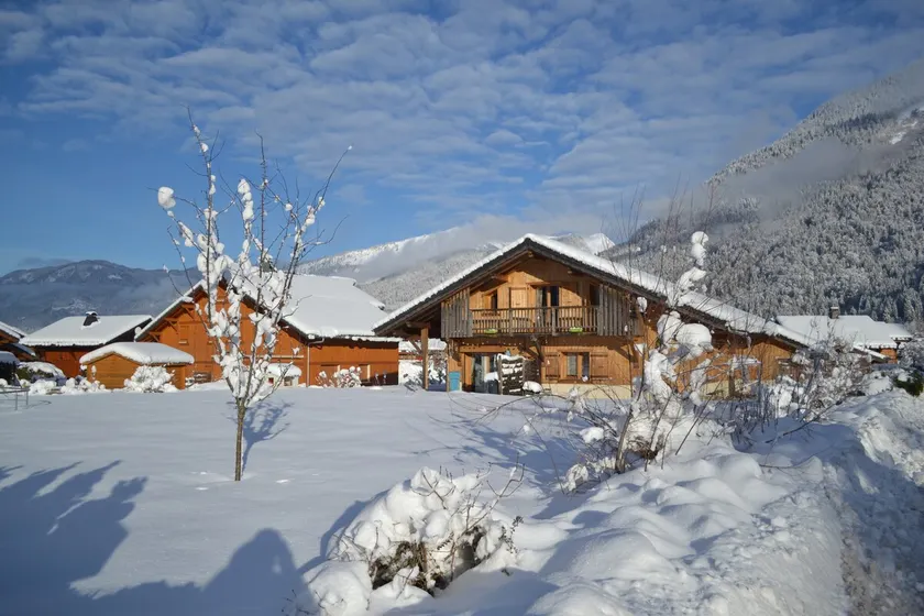 Charming Chalet Le Clos des Cimes - Image 1