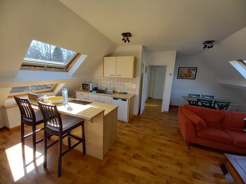 Large Marie-Thérèse apartment - Image 1
