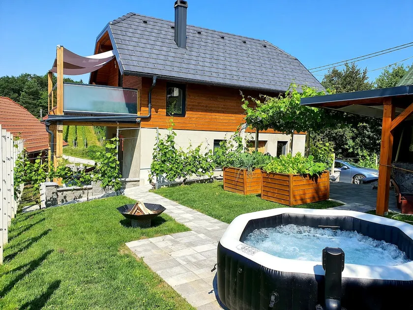 Vineyard cottage Matej - Image 1