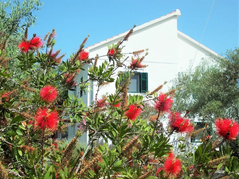 Casa independiente con jardín privado y barbacoa -pet friendly, - Image 1