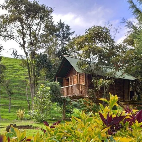 11. Beautiful cabin/view/private bathroom/balcony - Image 1
