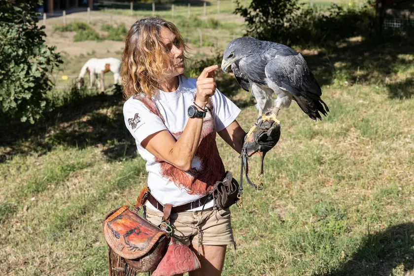 The Eagle and the Olive Tree - Image 1