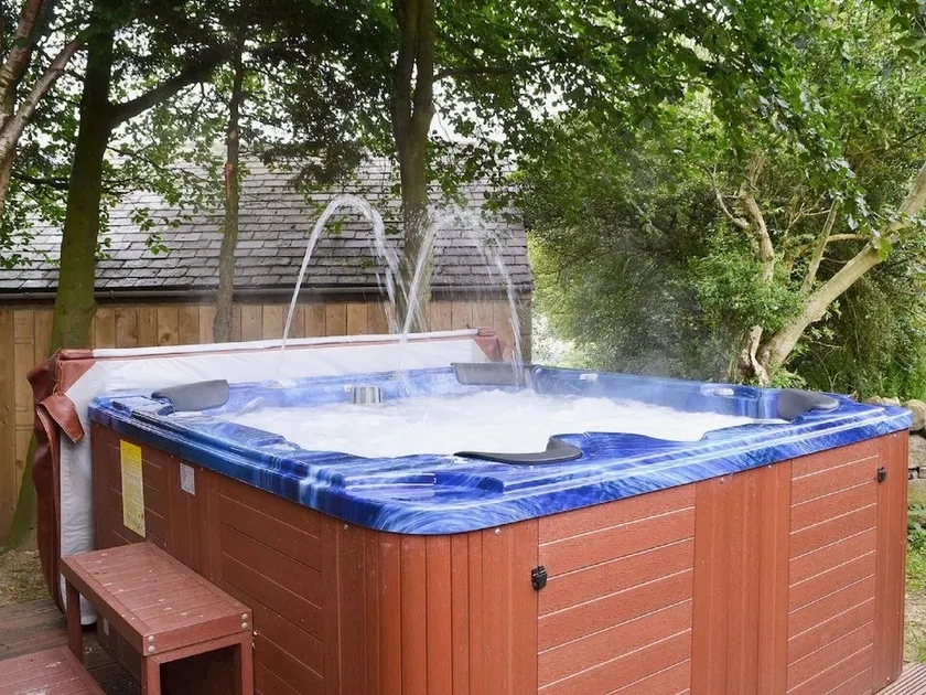 Chalet de luxe 5 * avec bain à remous / sauna / WIFI / Sky, jardin clos et animaux acceptés - Image 1