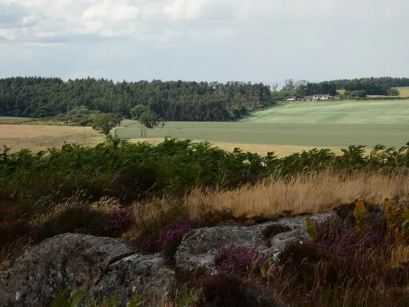 Rural retreat -Red lion cottage - Image 1