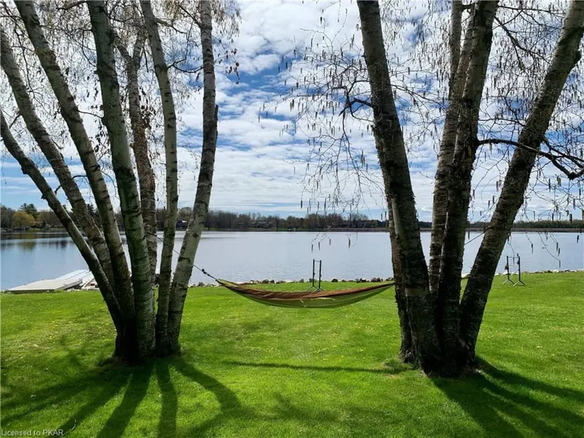Beautiful 4-Bedroom Cottage on Buckhorn Lake - Image 1